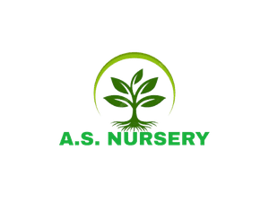 A S Nursery