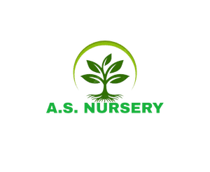 A S Nursery