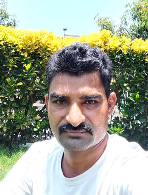 painter Kamlesh