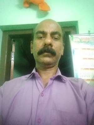 Shibu