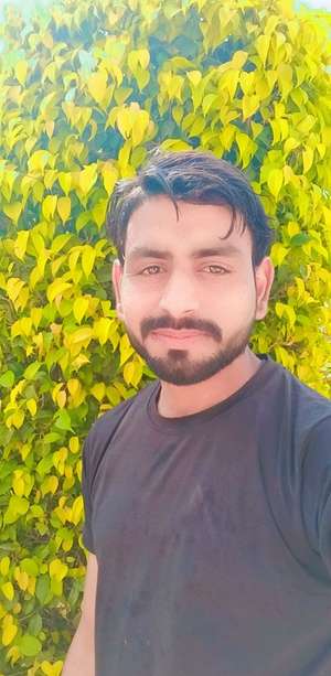 Noshad