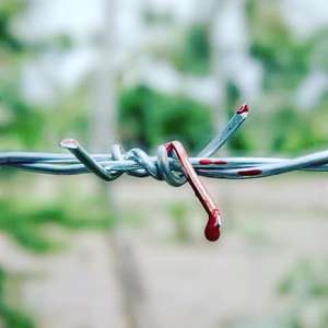fence