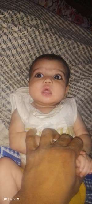 Hasim