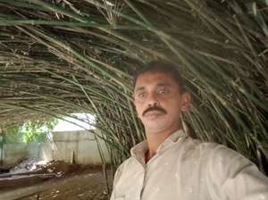 Monshihab