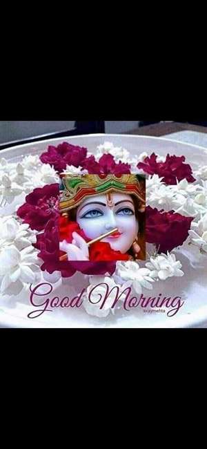 MrKailash ji
