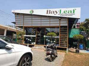 BayLeaf Gardening  Landscaping