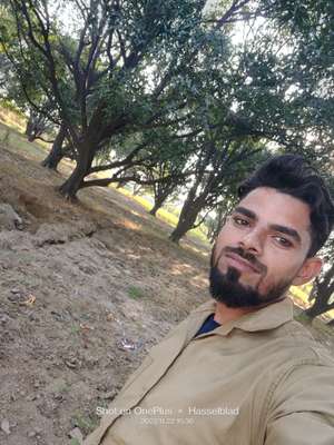 Ashu