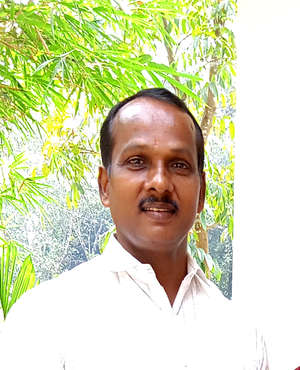 Biju