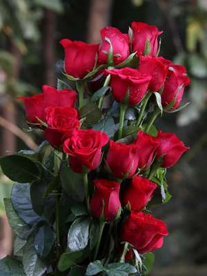 Imran