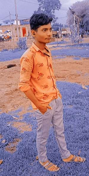 Sohib