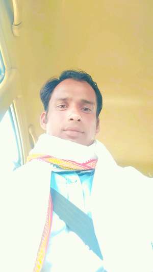 Anil
