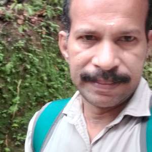 Biju