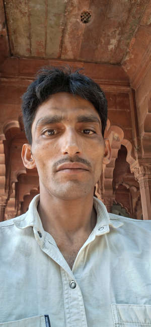 shamim