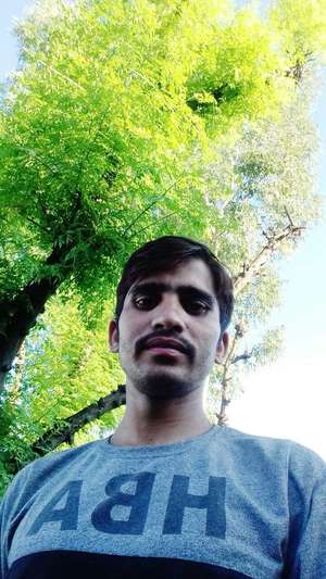 Sharik