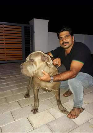 Ajayardra