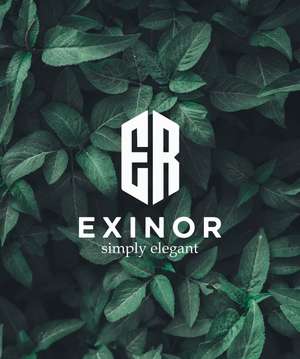 EXINOR