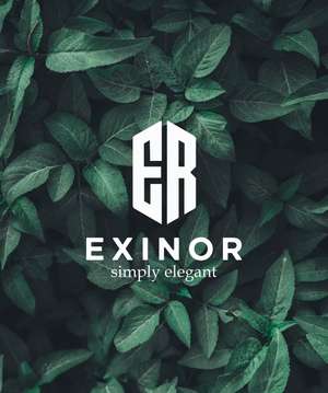 EXINOR DESIGNS