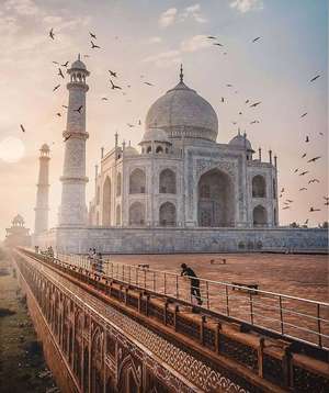 Taj