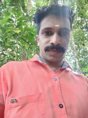 Vinu