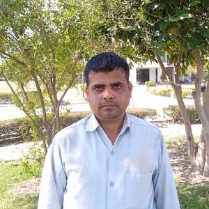 शैलेंद्र कुमार POP
