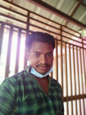 Anil