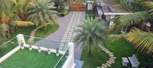 dream garden