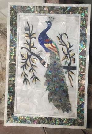 Saqib