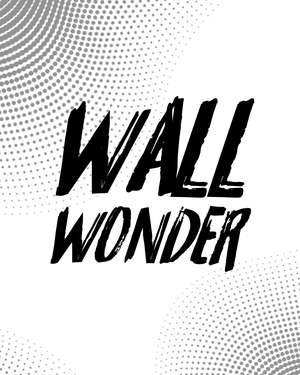 WALL WONDER