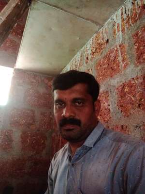 Faris