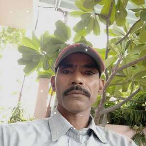  ISRAR