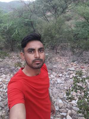 ajay 