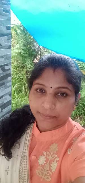 Shibi Anil