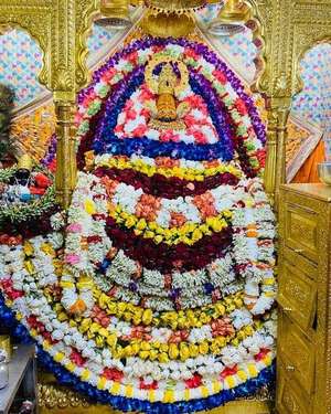 shree shyam 