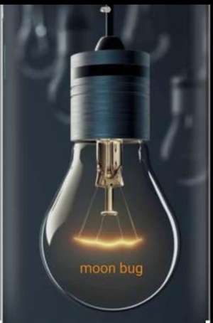 moon bug