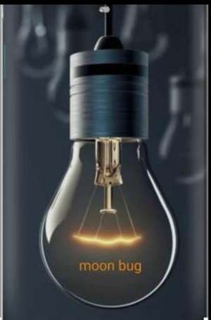 moon bug electricals