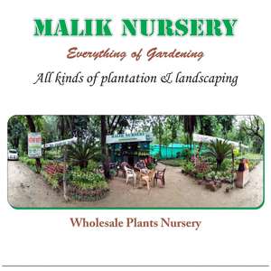 Malik Nursery