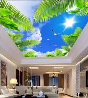dream
