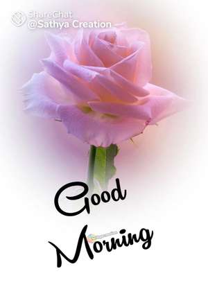 Aneesh