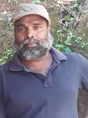 satheesh 
