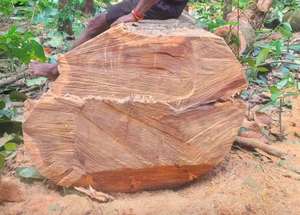 WOOD SUPLYER