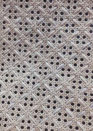 CANE MESH 