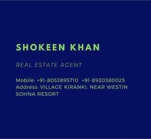 Shokeen properties