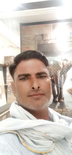 Darmpal