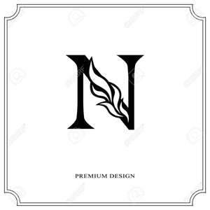NS 
