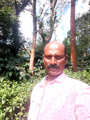 Bineesh