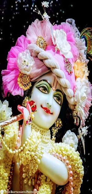 Mukesh Kumear L