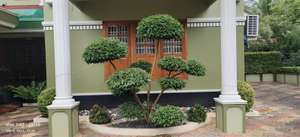 ABDU