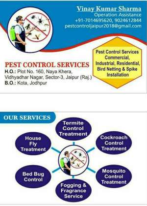 PEST CONTROL SERVICES🐞