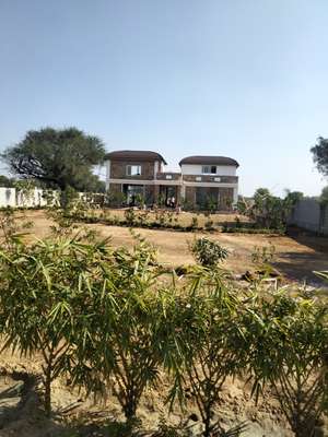 amar
