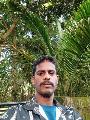 manikanndan divya